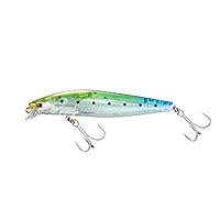 Amazon.co.jp: Shimano Minnow Exense Shallow Assassin 99F